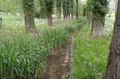 ruisseau
