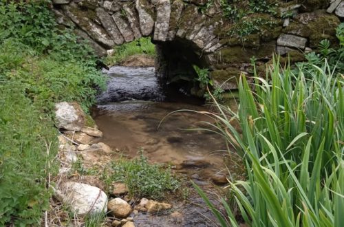 ruisseau etienne